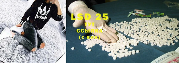 mdpv Новодвинск