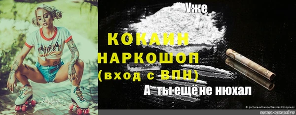 mdpv Новодвинск